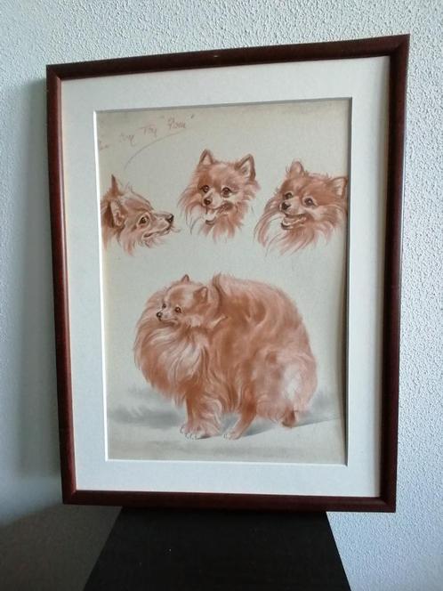 Honden Dogs Origineel Litho Print Diana Thorne Lijst 1944, Antiek en Kunst, Kunst | Litho's en Zeefdrukken, Ophalen of Verzenden