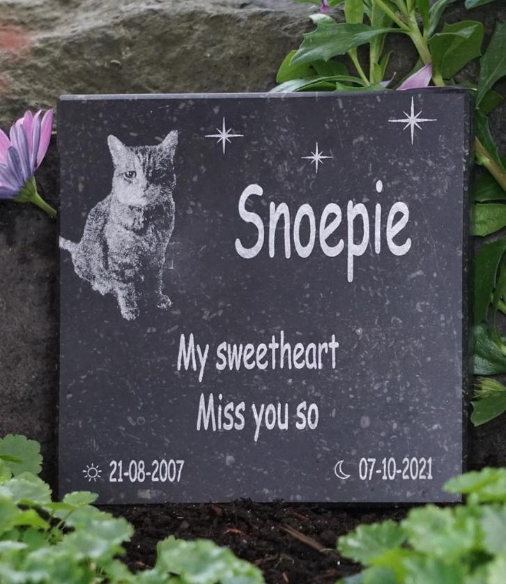 Gedenksteen voor kat of hond met fotogravure, Dieren en Toebehoren, Katten-accessoires, Nieuw, Ophalen of Verzenden