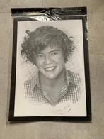 Harry Styles - tekening afdruk door Jonathan Wood, Verzamelen, Muziek, Artiesten en Beroemdheden, Ophalen of Verzenden, Zo goed als nieuw