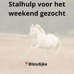 Stalhulp voor de weekenden gezocht, Verzorging of Verzorgpony's