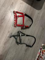 Shetlander halsters, Ophalen of Verzenden, Zo goed als nieuw, Overige soorten