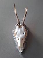 Ree geweitje met tanden op schild, Antiek en Kunst, Ophalen