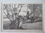 Ets van Reinder Homan 1993 oude wilgen en molen landschap, Antiek en Kunst, Kunst | Etsen en Gravures, Ophalen of Verzenden