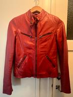 NIEUW Arks Rood leren jasje maat 34 valt ruimer  €m, Kleding | Dames, Jassen | Zomer, Nieuw, Ophalen of Verzenden, Maat 34 (XS) of kleiner