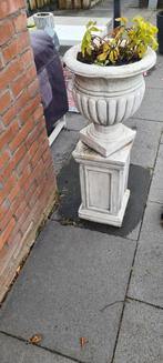 Leuke Zuil met Bloembak, Tuin en Terras, Bloembakken en Plantenbakken, Ophalen, Steen, Gebruikt, Minder dan 60 cm