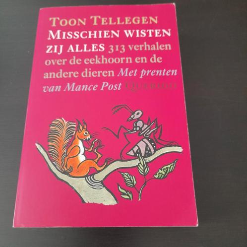 Toon Tellegen - Misschien wisten zij alles ( 632 pg.), Boeken, Literatuur, Zo goed als nieuw, België, Ophalen of Verzenden