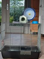 Hamsterkooi met radje, huisje en voerbakje, Dieren en Toebehoren, Kooi, Minder dan 75 cm, Minder dan 60 cm, Gebruikt