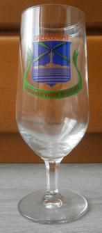 Bierglas Green Light 200 ml, Ophalen of Verzenden, Nieuw, Glas of Glazen, Overige merken