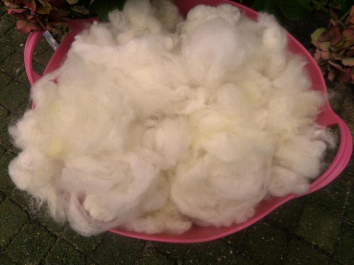 Schapenwol Gewassen Vulwol Poppen ViltWol  Krul losse Lokken, Hobby en Vrije tijd, Spinnewielen en Spinnen, Nieuw, Overige typen