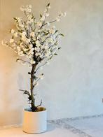Handgemaakte bloesemboom Wit - op echte stam, Ophalen, Nieuw