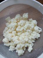 Mooie biologische gezonde melk kefir, Diversen, Levensmiddelen, Ophalen