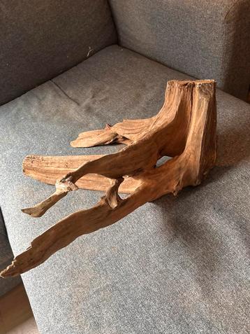 Jungle Kienhout / Spiderwood / Driftwood / Teakhout Aquarium beschikbaar voor biedingen