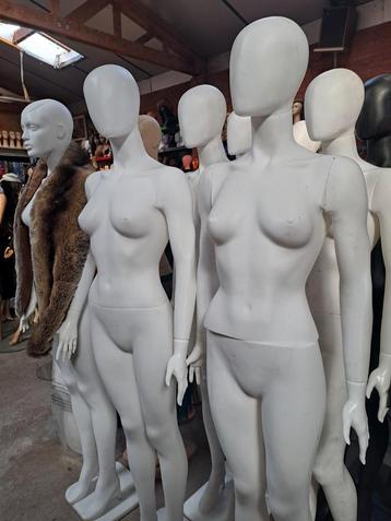 paspoppen/etalagepop/etalagepoppen beschikbaar voor biedingen