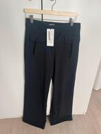 Studio Anneloes broek Romi zwart xs nieuw, Kleding | Dames, Broeken en Pantalons, Zwart, Nieuw, Ophalen of Verzenden, Maat 34 (XS) of kleiner