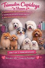 Trimsalon Cupidogs, Ophalen