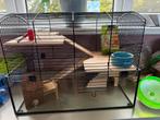 Compleet hamster kooi diverse houten huisje, Kooi, Minder dan 75 cm, Zo goed als nieuw, Hamster