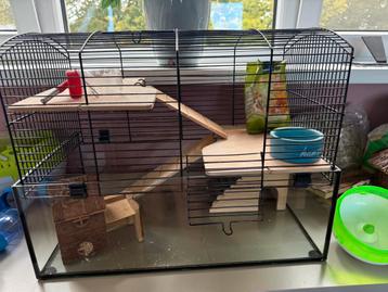 Compleet hamster kooi diverse houten huisje beschikbaar voor biedingen