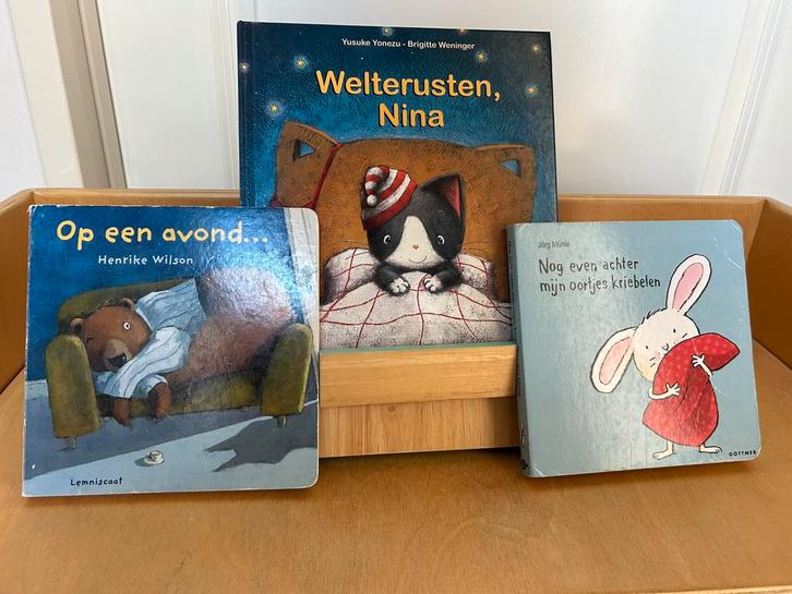 Welterusten Boeken, Boeken, Kinderboeken | Kleuters, Zo goed als nieuw, Fictie algemeen, Ophalen of Verzenden