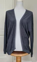 Chique blauw/grijs vest maat M in blauw/grijs. Be Ware cardi, Maat 38/40 (M), Blauw, BeWear, Ophalen of Verzenden