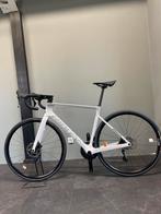 Nieuwe Ridley Falcn, 28 inch, Carbon, Nieuw, Meer dan 20 versnellingen