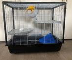 Ratten kooi, Dieren en Toebehoren, 60 tot 90 cm, Kooi, Gebruikt, 75 tot 110 cm