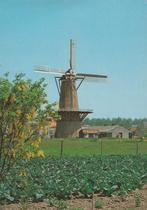 HEINKENSZAND Molen, Verzamelen, Verzenden, 1980 tot heden, Ongelopen, Zeeland