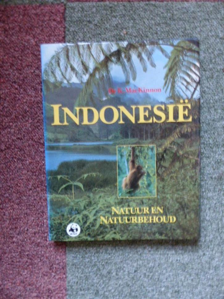 boeken Indonesië Indië Maleisië Borneo Redmond O'Hanlon, Boeken, Reisverhalen, Gelezen, Azië, Ophalen of Verzenden