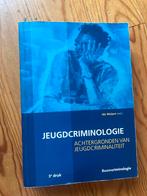 Jeugdcriminologie - Achtergronden van jeugdcriminaliteit, Boeken, Ophalen of Verzenden, Gamma, Gelezen, HBO