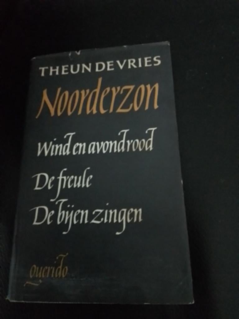 Noorderzon - Theun de Vries, Ophalen of Verzenden, Gelezen