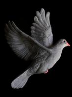 Urn duif wit of grijs., Huis en Inrichting, Woonaccessoires | Overige, Nieuw, Ophalen of Verzenden