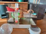Hamsterkooi, Minder dan 60 cm, Kooi, Minder dan 75 cm, Ophalen of Verzenden