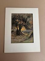 Boom bij zonsondergang J Koning, Antiek en Kunst, Ophalen of Verzenden