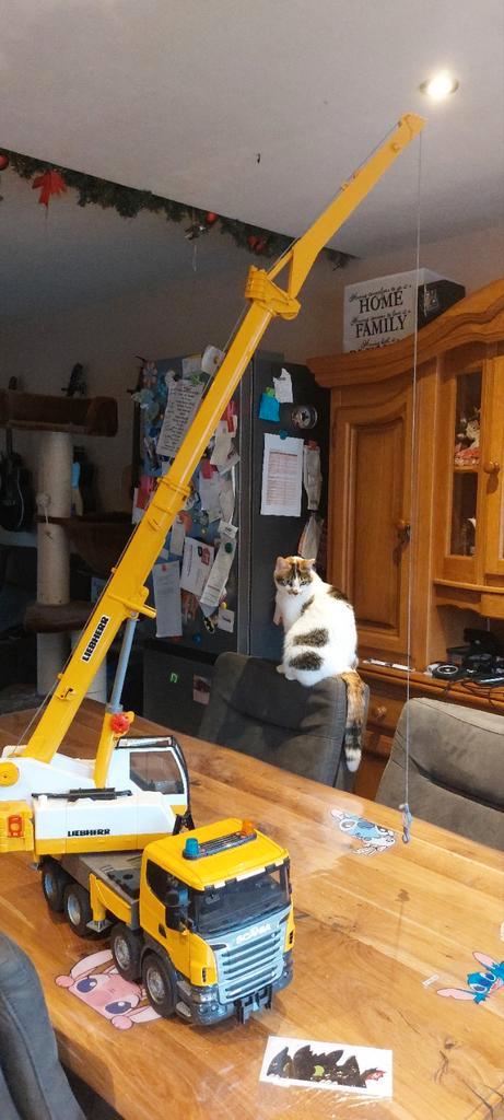 Bruder Hijskraan, Kinderen en Baby's, Speelgoed | Speelgoedvoertuigen, Zo goed als nieuw, Ophalen