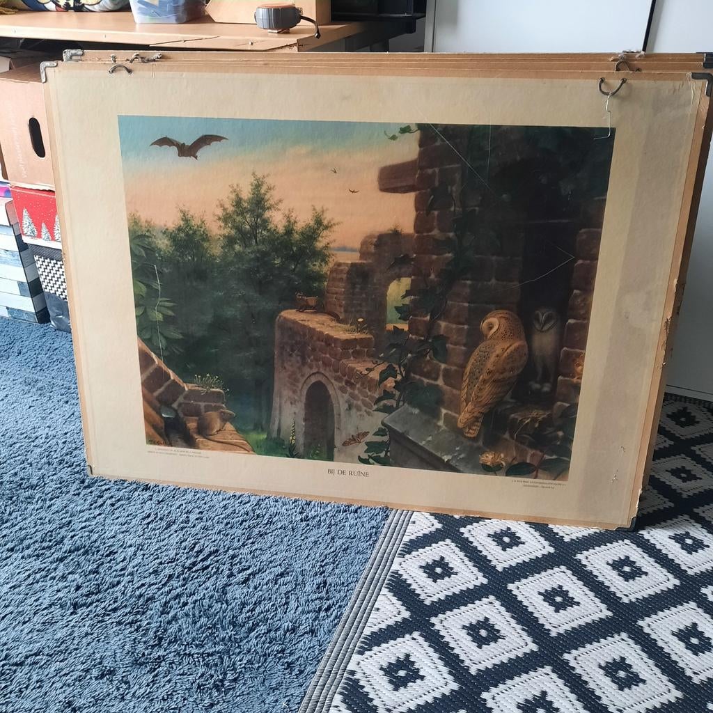 Schoolplaat Bij de Ruïne  met bijplaat Zoewatervissen., Ophalen