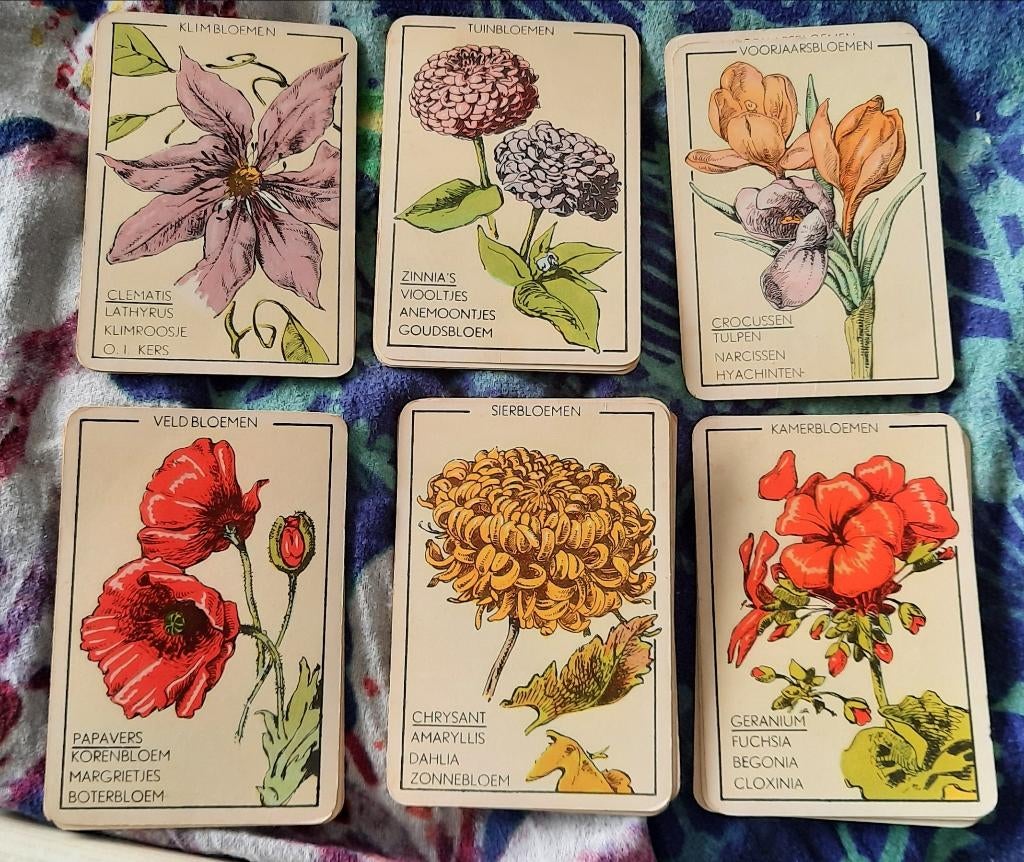 Vintage Bloemen Kwartet (jaren ’30–’40) – met Sportkwartet, Ophalen of Verzenden, Gebruikt, Kwartet(ten)