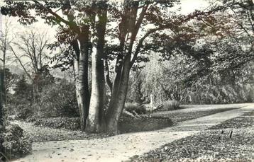 (380-040-011) Leiden Hortus Botanicus beschikbaar voor biedingen