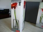 Vaas recht 26,5cm, Huis en Inrichting, Woonaccessoires | Vazen, Ophalen of Verzenden, Nieuw, Glas, Minder dan 50 cm