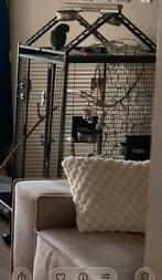 Grote vogel of papegaai kooi, Dieren en Toebehoren, Vogels | Hokken en Kooien, Ophalen of Verzenden, Zo goed als nieuw, Metaal