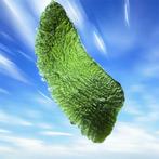 Moldaviet Chlum - 39.7g, Ophalen of Verzenden, Mineraal