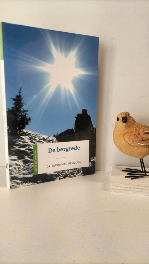 Bruggen, Prof. Dr. J. van; De Bergrede, Boeken, Godsdienst en Theologie, Gelezen, Christendom | Protestants, Ophalen of Verzenden