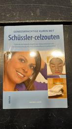Geneeskrachtige kuren met Schüssler-celzouten, Boeken, Ophalen of Verzenden, Zo goed als nieuw, Gunther H. Heepen