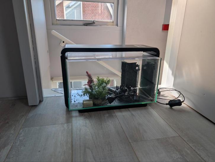 SuperFish Aquarium 25 liter bak + asseciores, Dieren en Toebehoren, Vissen | Aquaria en Toebehoren, Zo goed als nieuw, Overige typen