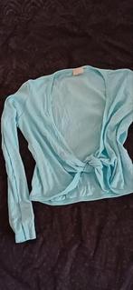 Turquoise wikkelvestje, maat L, Kleding | Dames, Blauw, Ophalen of Verzenden, Zo goed als nieuw, Maat 42/44 (L)