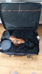 Toneelkleding, Maat 42/44 (L), Ophalen of Verzenden, Kleding, Gedragen