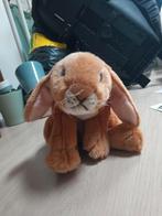 Anna Club Plush Konijn Knuffel, Kinderen en Baby's, Speelgoed | Knuffels en Pluche, Ophalen of Verzenden