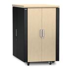 APC NetShelter CX 24U Geluiddempende Serverkast / rack, Ophalen, Withuisveld 30 6226 NV Maastricht, APC /ARP, Zo goed als nieuw