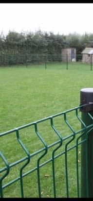 GEZOCHT omheind wei/grasland /bos, Dieren en Toebehoren, Stalling en Weidegang