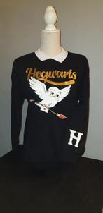 Harry Potter sweater Hogwarts (NIEUW), Ophalen of Verzenden, Nieuw, Maat 38/40 (M), Zwart