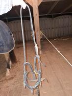 Kaptoom cob/full, Ophalen of Verzenden, Gebruikt, Overige soorten