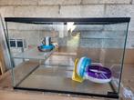 Glazen hamster/gerbil bak, Gebruikt, Minder dan 75 cm, Ophalen, Minder dan 60 cm
